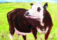 click for larger image of the Cow Portrait