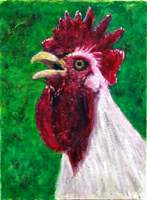 click for larger image of the Chicken Portrait